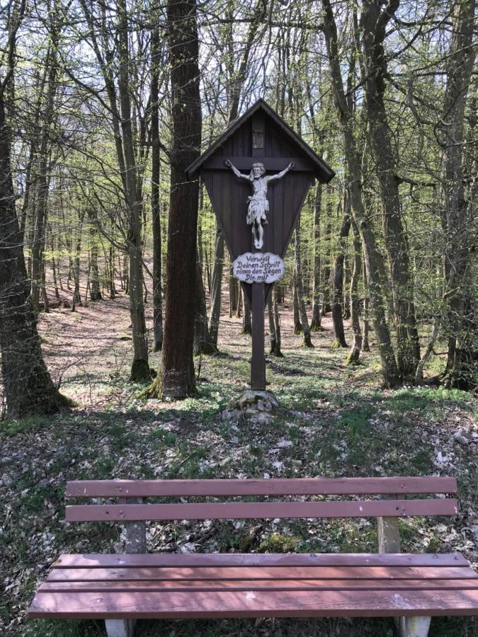Pension-Ferienwohnung Liesbachtal Direkt Am Waldrand Bayerische Rhoen Schonau an der Brend Экстерьер фото