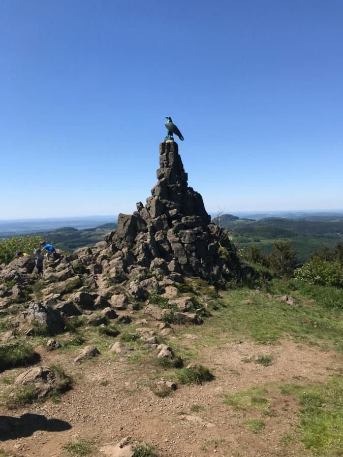 Pension-Ferienwohnung Liesbachtal Direkt Am Waldrand Bayerische Rhoen Schonau an der Brend Экстерьер фото