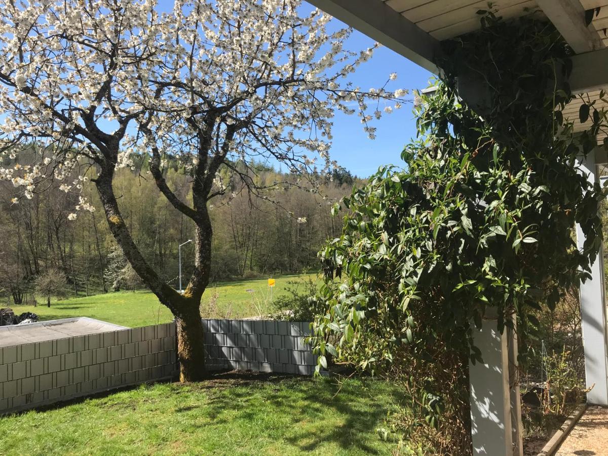 Pension-Ferienwohnung Liesbachtal Direkt Am Waldrand Bayerische Rhoen Schonau an der Brend Экстерьер фото
