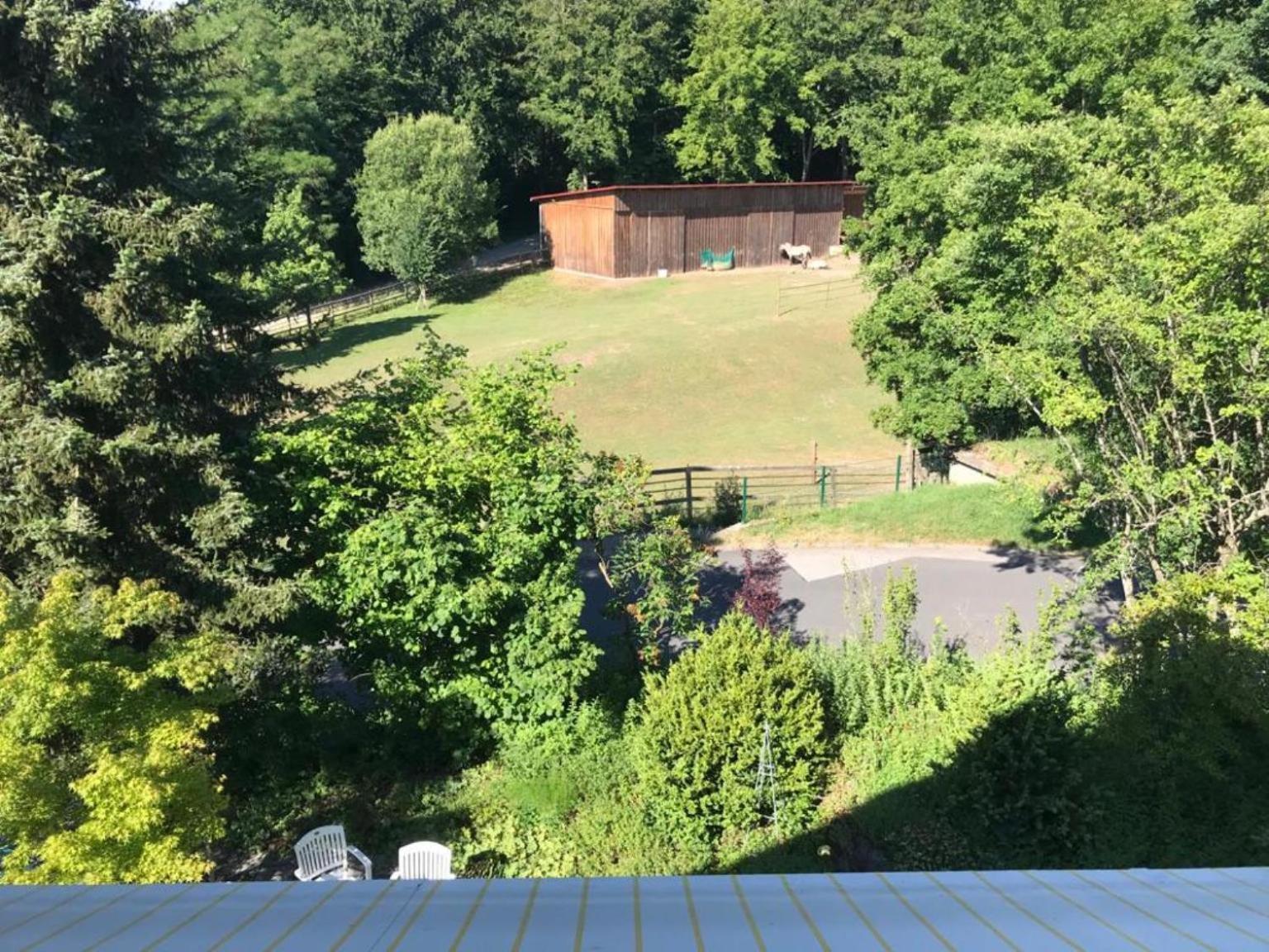Pension-Ferienwohnung Liesbachtal Direkt Am Waldrand Bayerische Rhoen Schonau an der Brend Номер фото